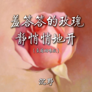 羞答答的玫瑰静悄悄地开 (氛围烟嗓版)