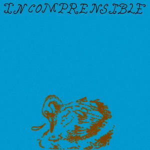 Incomprensible