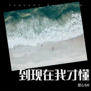 到现在我才懂 (伴奏)