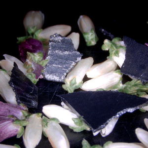 Light Bluish Grey (Explicit)