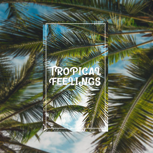 Tropical Feelings