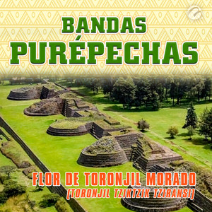 Flor de Toronjil Morado(Toronjil Tziktzik Tziransi)