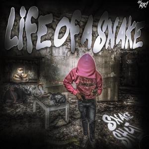 Trips (feat. toomilitantjay & Lulactive) (Explicit)