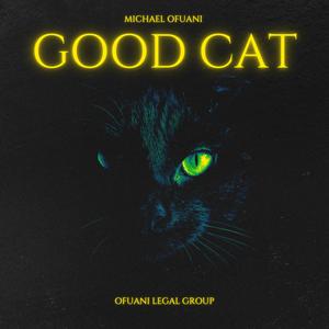 Good Cat