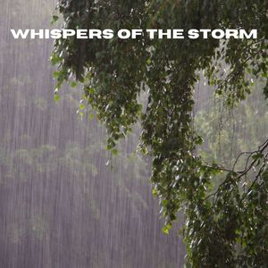 Whispers of the Storm