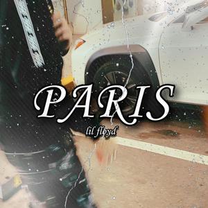 PARIS (Model version) [Explicit]