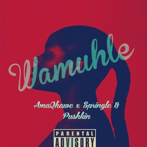 Wamuhle (feat. Springle & Phushkin)