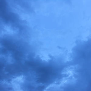 The Cove (feat. Sam Adler)