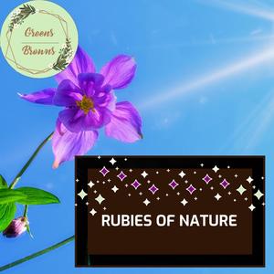 Rubies of Nature