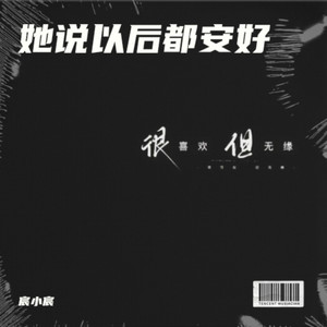 他说的话