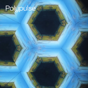Polypulse