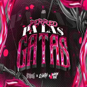 Perreo Pa Las Gatas (feat. El Shura) (ft Aaron Rmx)