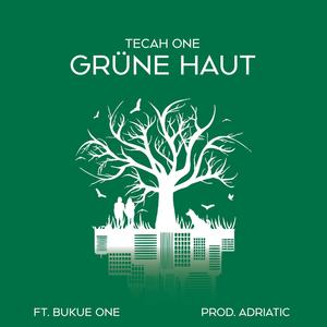 Grüne Haut (feat. Bukue One) (Explicit)