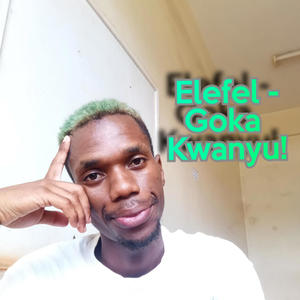 Goka Kwanyu! (Ariana -Let Me Love U Remix #03)