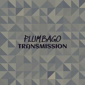 Plumbago Transmission