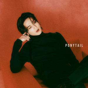 Ponytail (Feat. 식케이 (Sik-K))