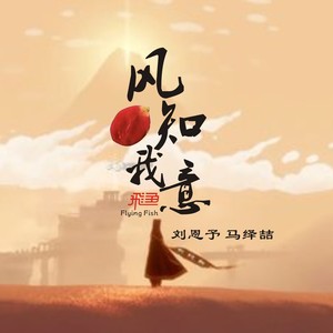 风知我意 (DJheap九天版)封面