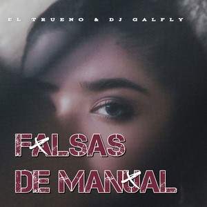 Falsas de manual