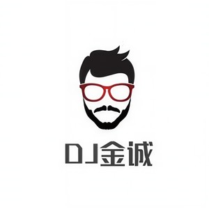 过分纵容 (DJ金诚版)封面