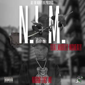 N.L.M. (feat. Marley McNealy) [Explicit]