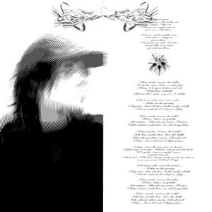 Hass mich, wenn du willst