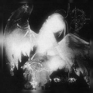 KREZUS Pupils (Radio Edit|Explicit)