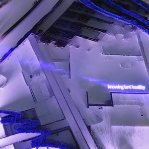 Knowing Isn't Healthy