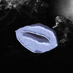 Thirst Trap For Diego