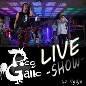 La Aguja(En vivo)