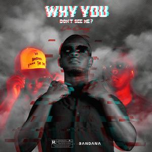 Why You Don't See Me (Explicit)