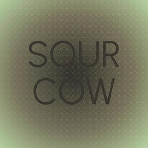 Sour Cow