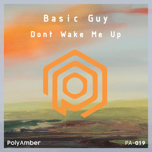 Don't Wake Me Up (Basic's MDMA Mix)
