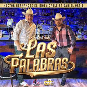 Las Palabras (feat. Daniel Ortiz)