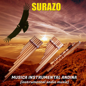 Música Instrumental Andina