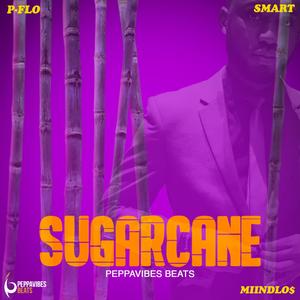 Sugarcane (feat. PFlo, Smart & Miindlos)