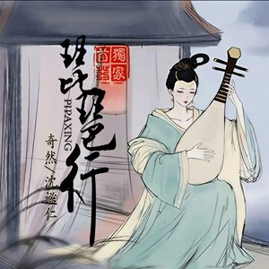 琵琶行-张新航&奇然&沈谧仁
