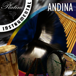 Platino Instrumental - Andina