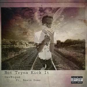 Not Tryna Kick It (feat. Boxin Domo) [Explicit]