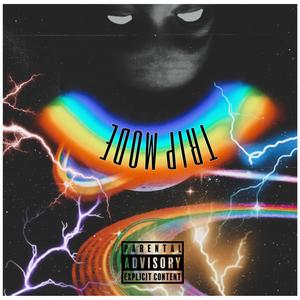 Trip Mode (Explicit)