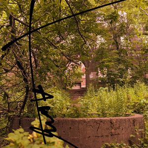 Anybody Seen My Baby (COVER版)