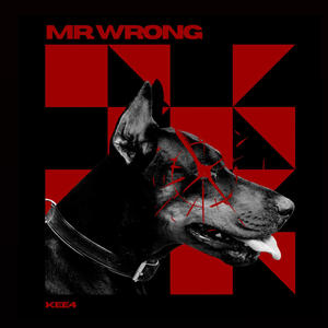 MR.WRONG (Explicit)