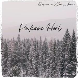 Päikese Hääl(feat. Sten Aamer)