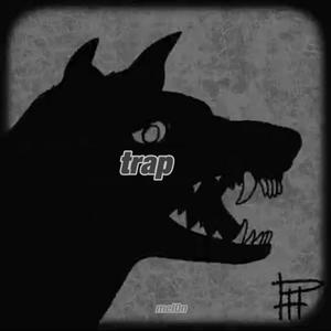 Trap