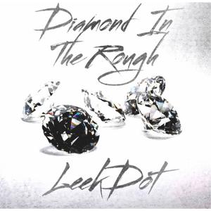 Diamond In The Rough (Explicit)