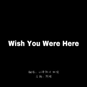 Wish You Were Here