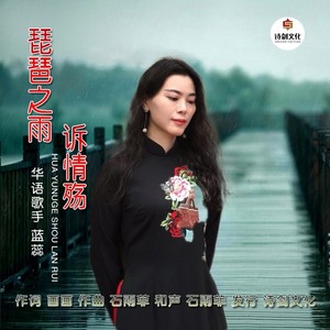 琵琶之雨诉情殇 (伴奏)