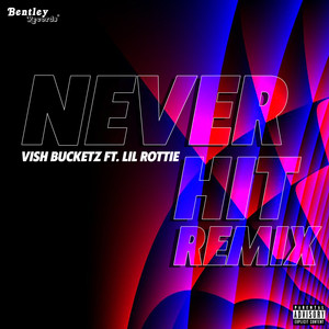 Never Hit (Remix)