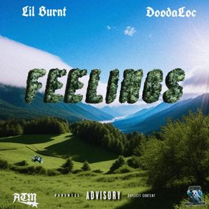 Feelings (feat. DoodaLoc) [Explicit]