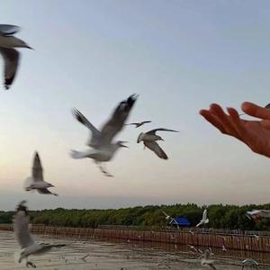 你能听到我的心吗