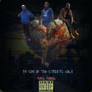 Da Son Of Tha Streets, Vol. 8 (Explicit)